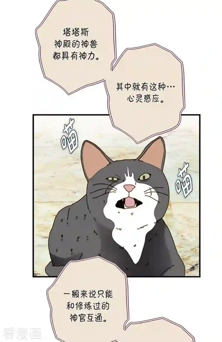 生存婚姻第30话 解除印记的办法