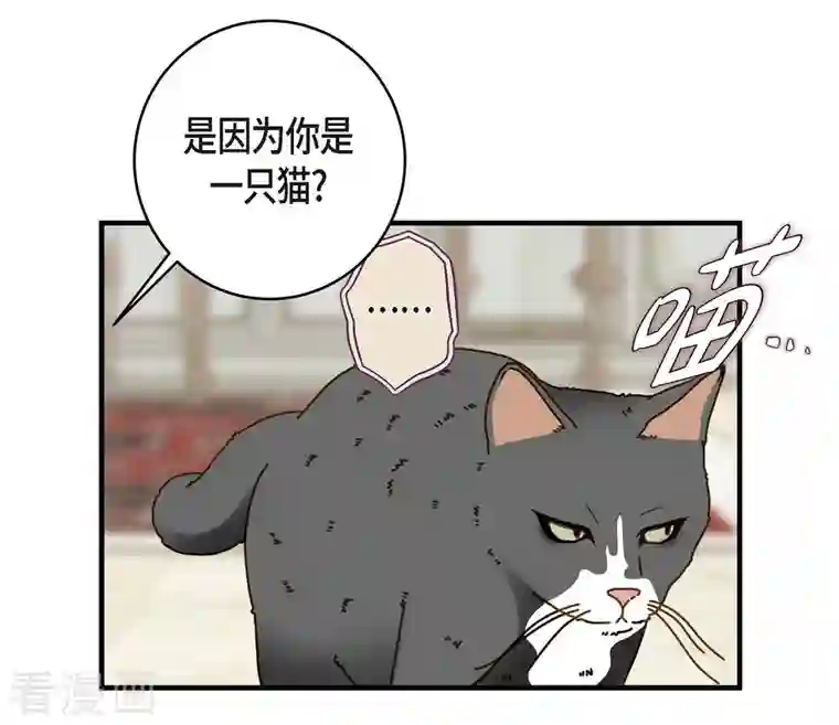 生存婚姻第30话 解除印记的办法