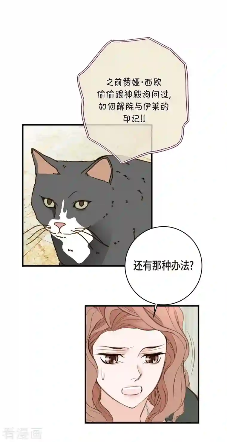 生存婚姻第30话 解除印记的办法