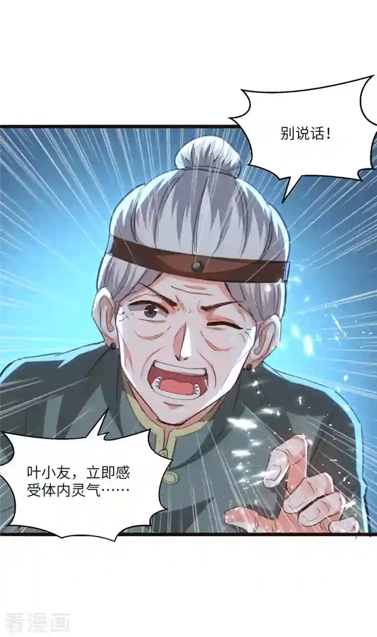 天才狂医第202话 回家了