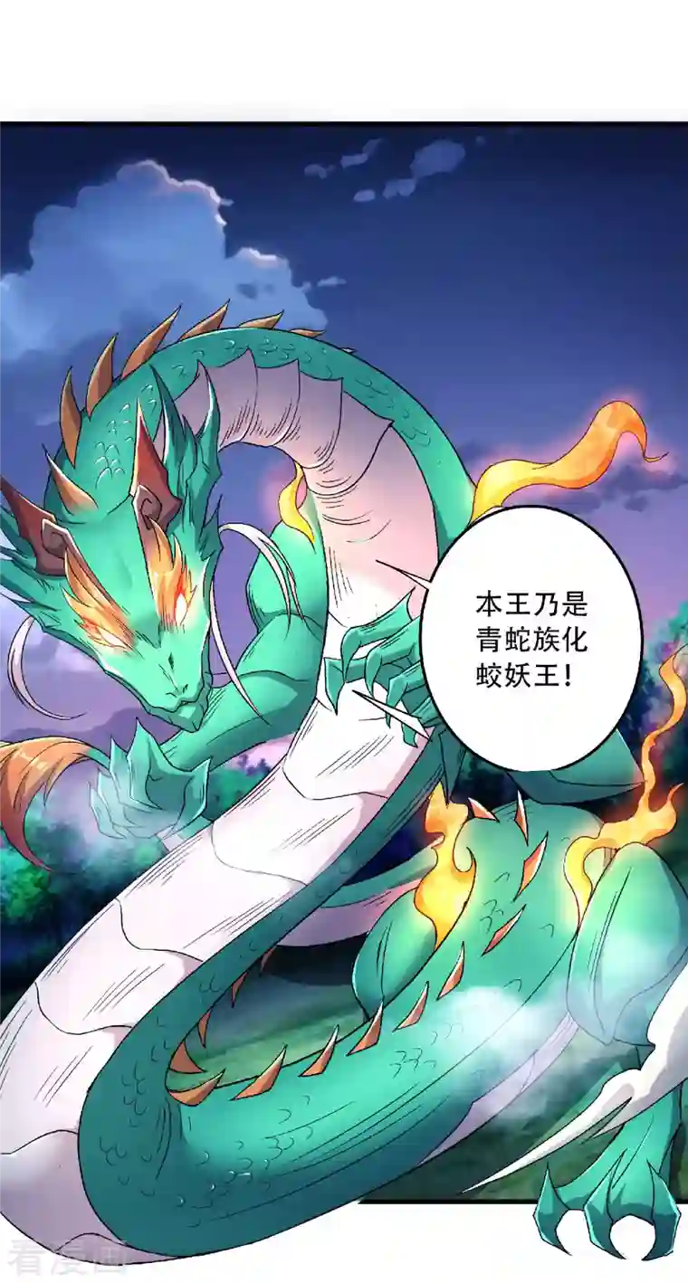 妖道至尊之妖皇归来第98话 上品双王，兄弟重聚