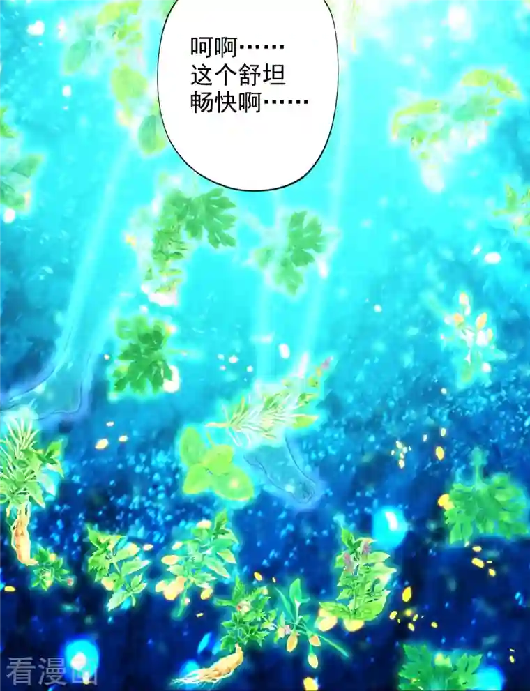 仙武帝尊第209话 初炼三纹灵丹！