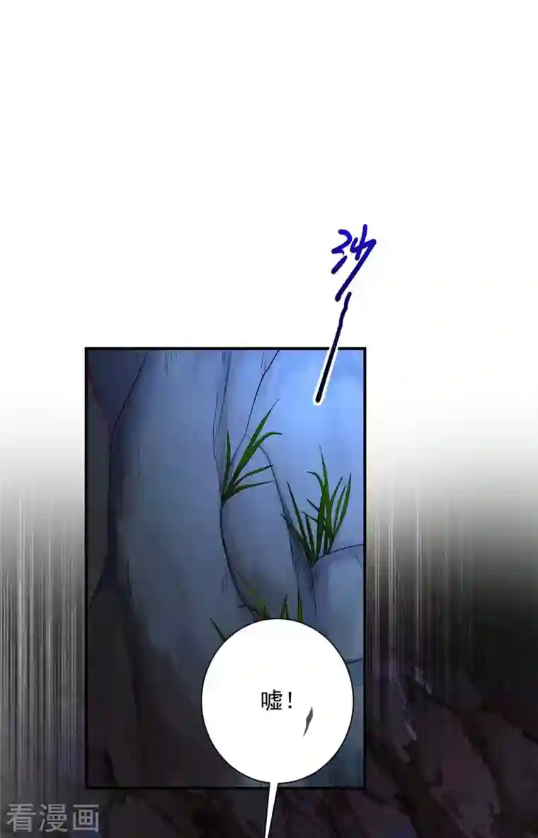 我在异界养男神：神医九小姐第113话 蛇洞