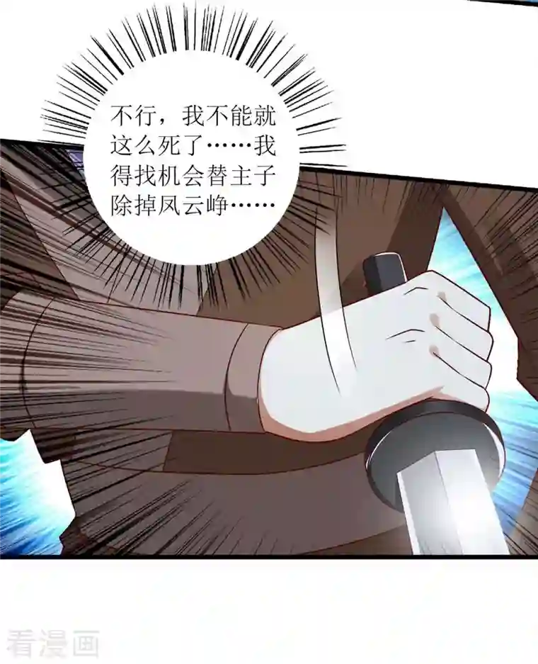 一品嫡女第202话 除掉追兵