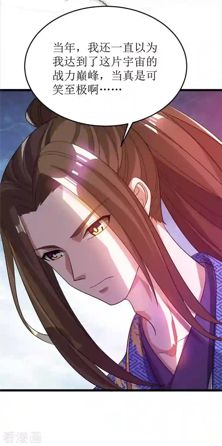 主宰三界第175话 神秘人