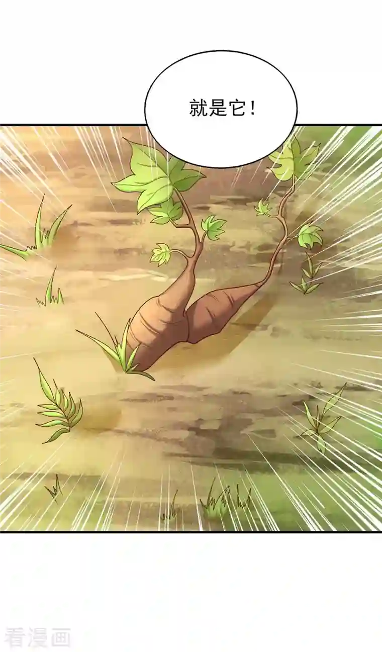 兽世狂妃：不当异界女海王第36话 翼蛇族的阴谋