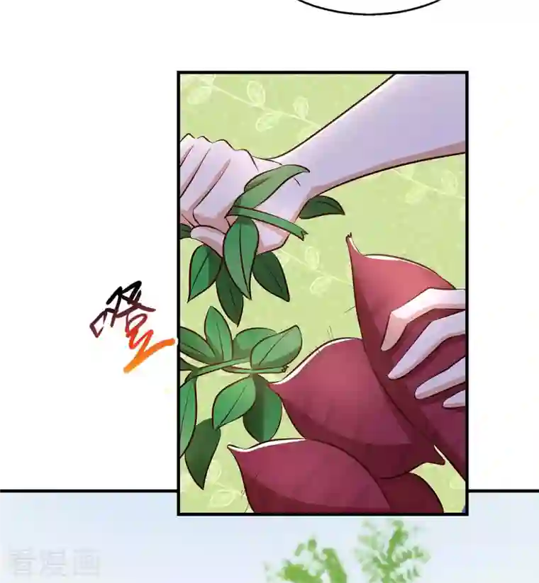 兽世狂妃：不当异界女海王第36话 翼蛇族的阴谋