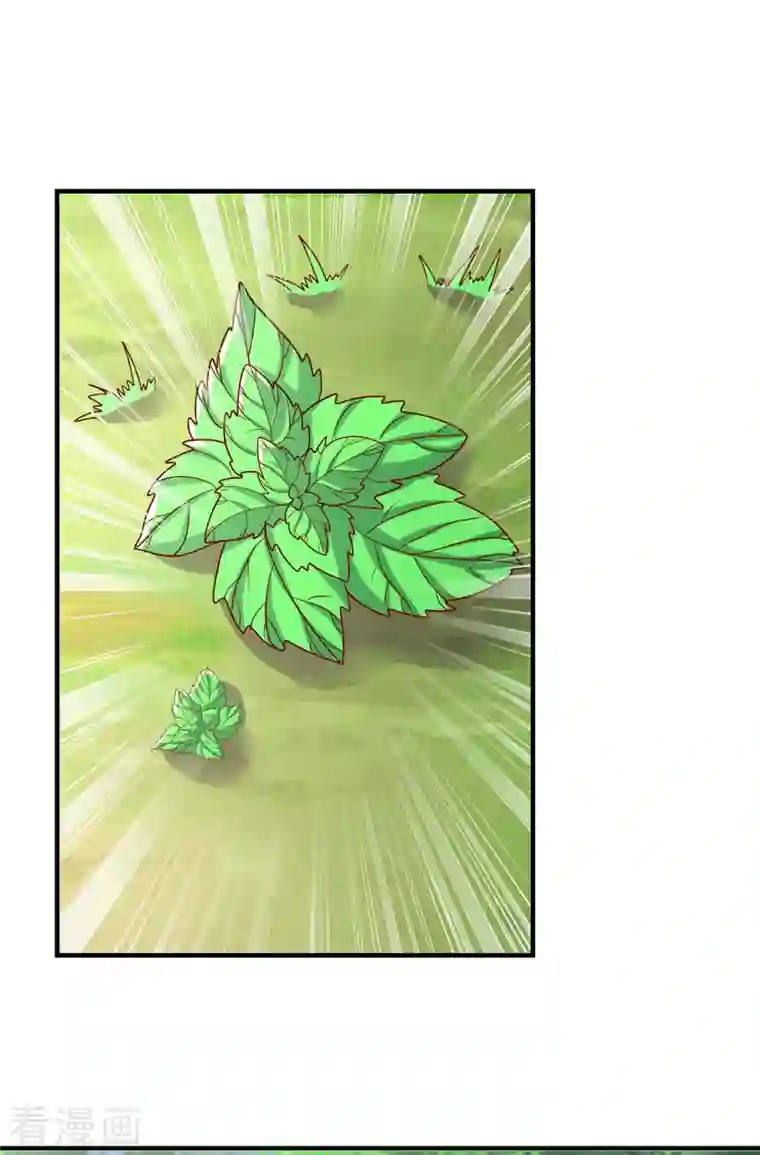 兽世狂妃：不当异界女海王第39话 巫医有古怪