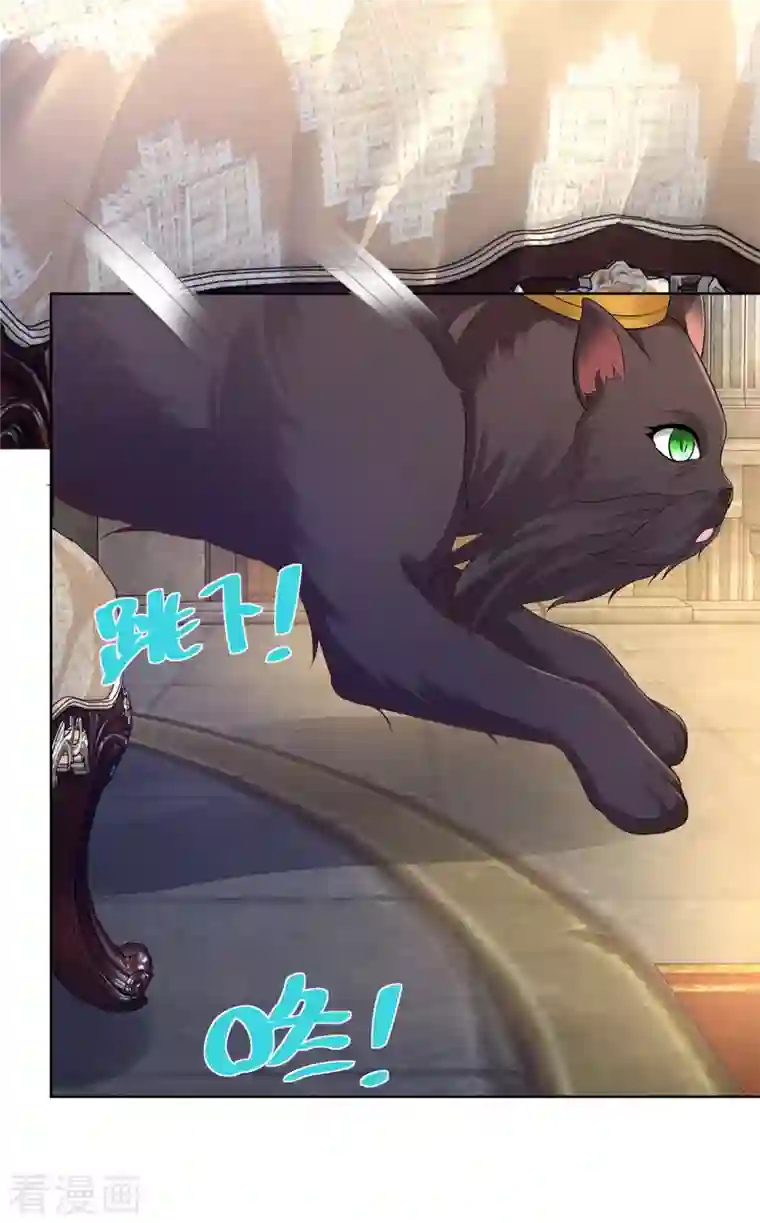 想成为废柴的公爵小姐第129话 猫猫国王