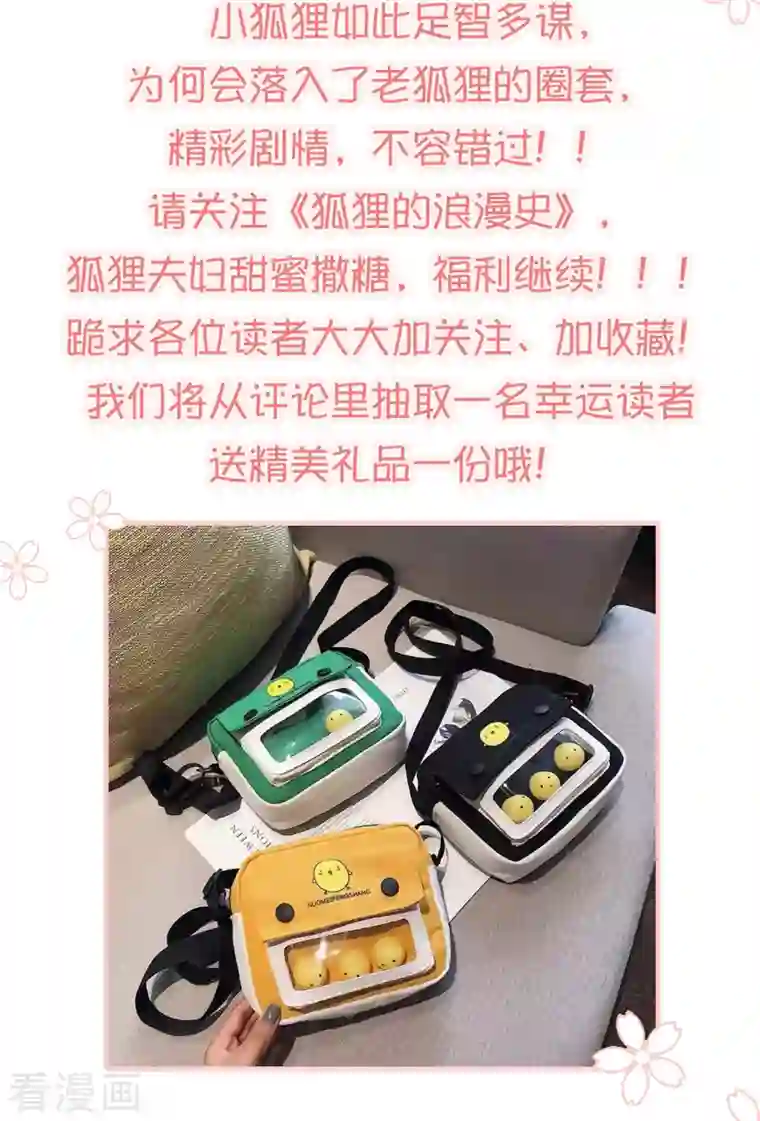 狐狸的浪漫史李浅前传