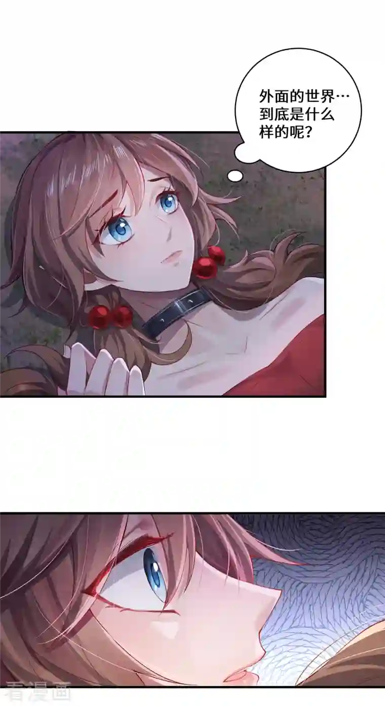 吾本是猫第7话 暗局的端倪