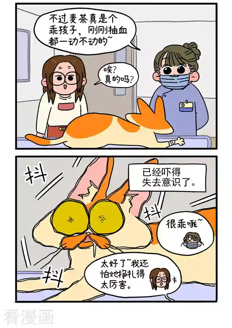 阿满和麦茶第13话2 要做手术了