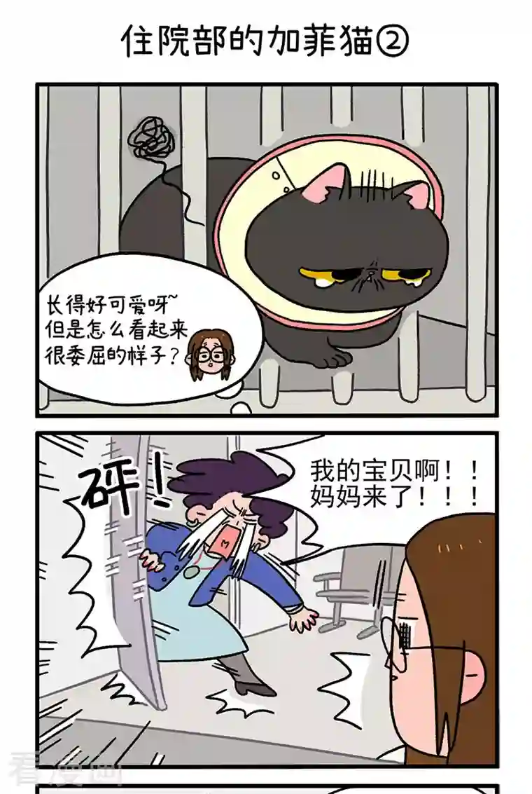 阿满和麦茶第14话 住院部的加菲猫