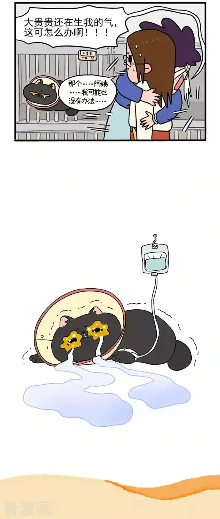 阿满和麦茶第14话 住院部的加菲猫