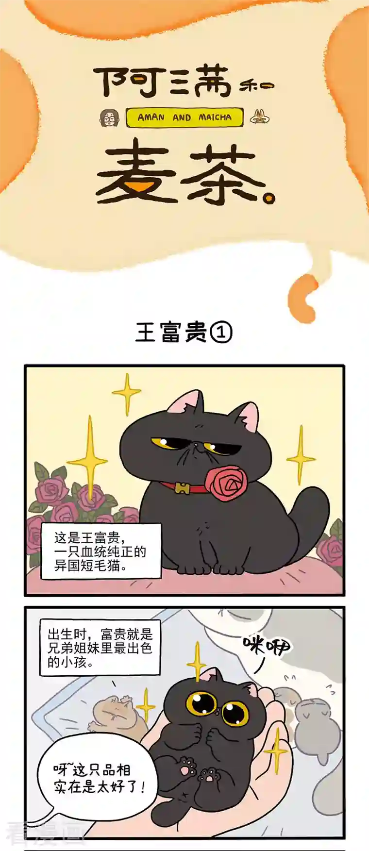 阿满和麦茶第15话 王富贵