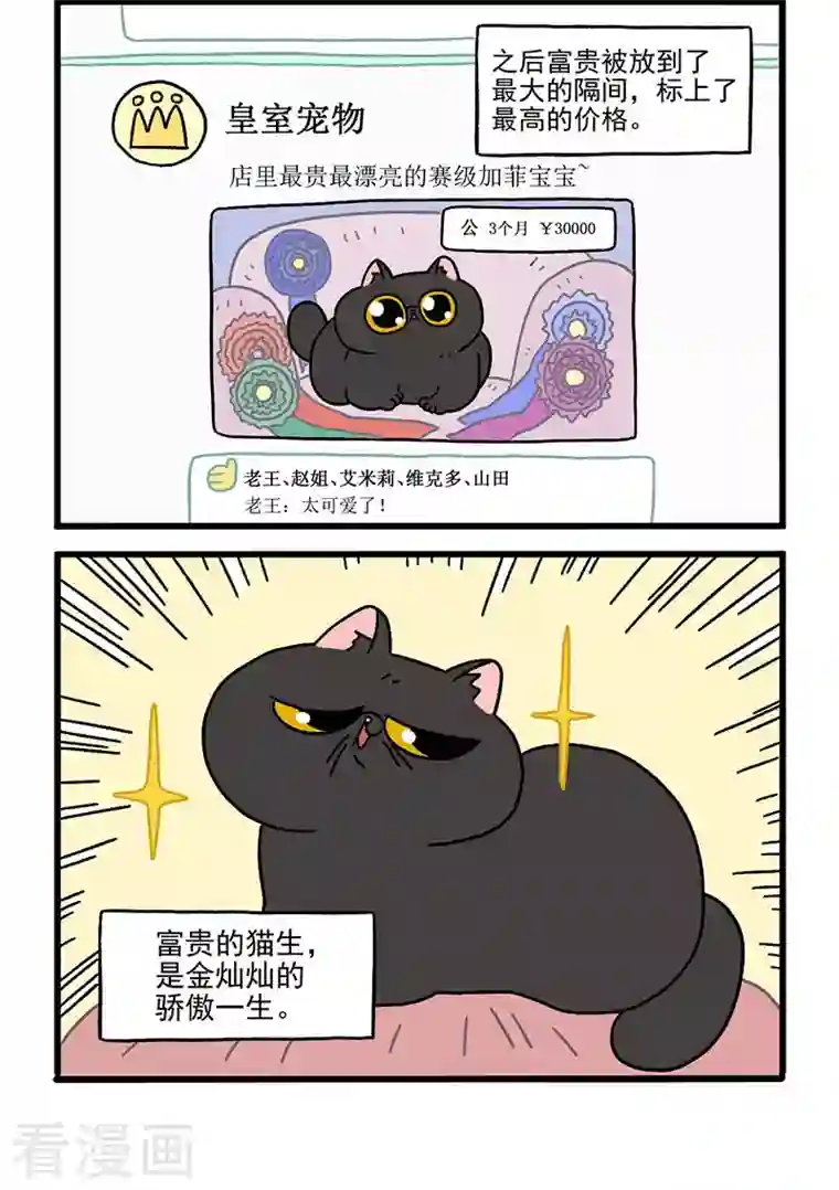 阿满和麦茶第15话 王富贵