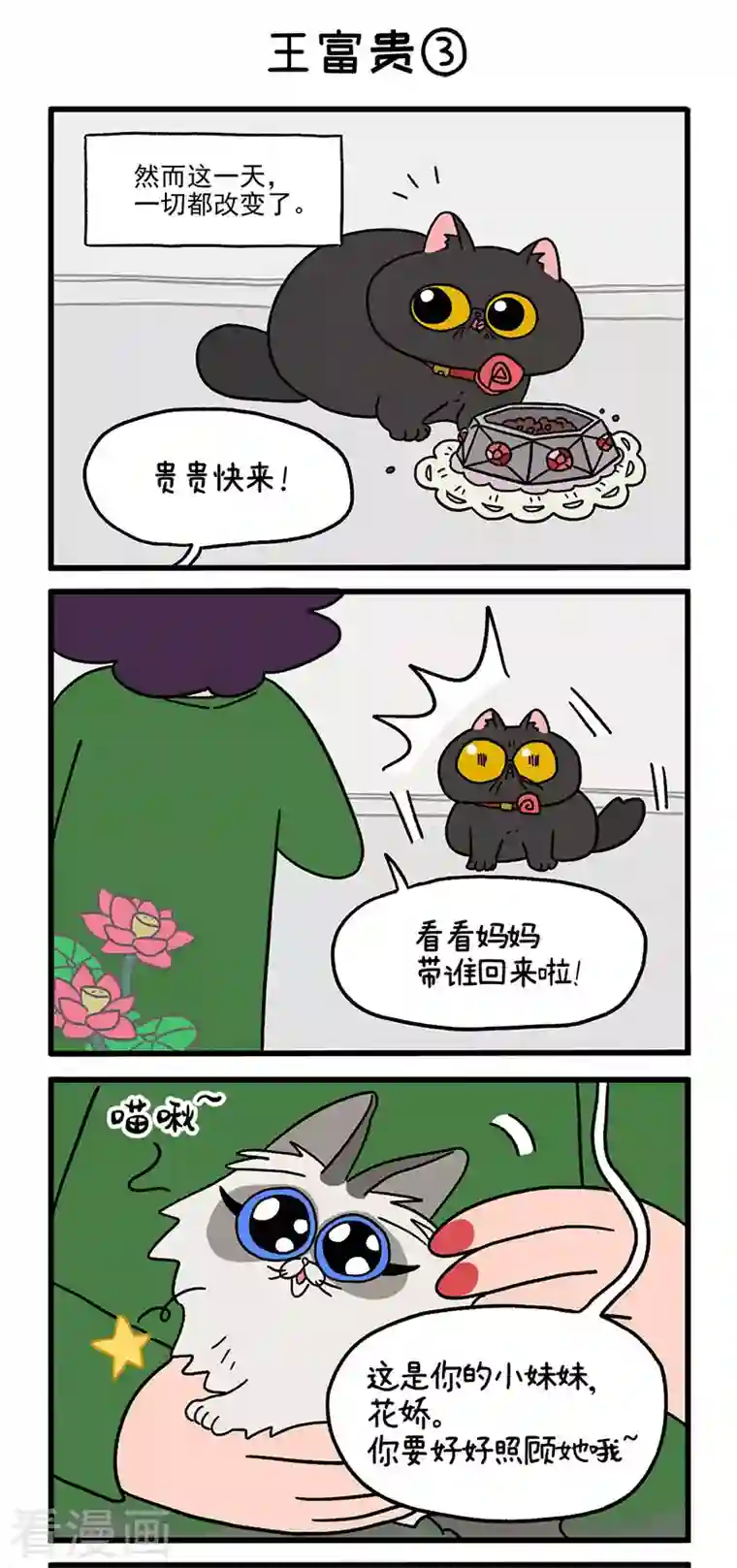 阿满和麦茶第15话 王富贵