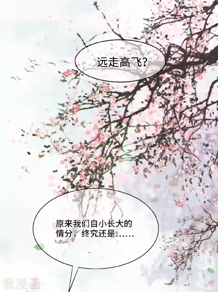 凤凰于飞第1话 刺杀救命恩人