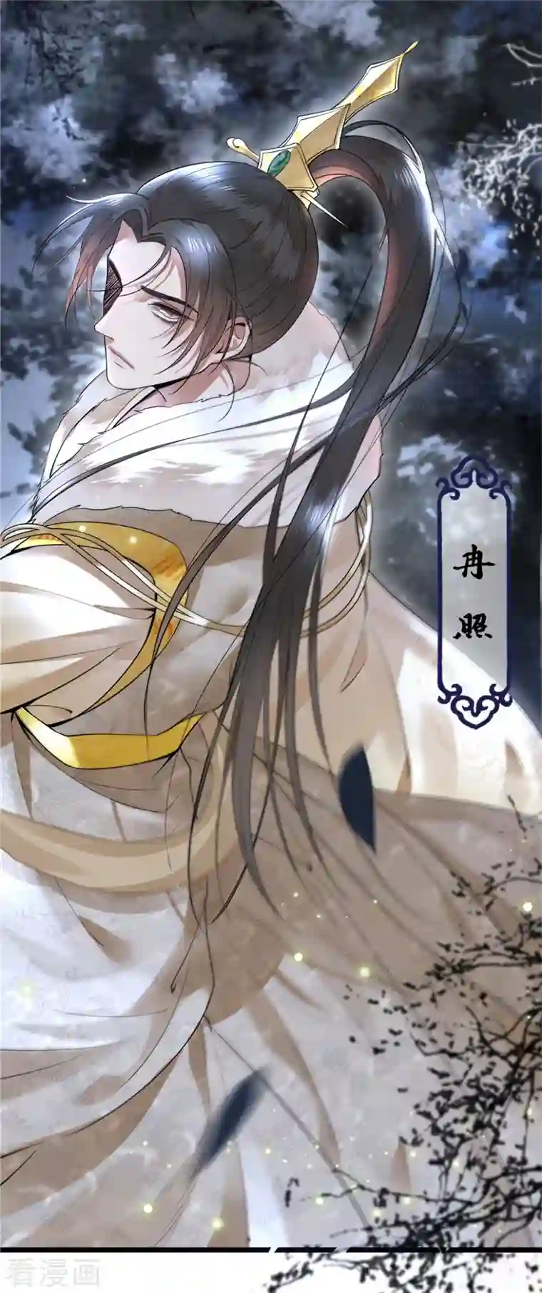 凤凰于飞第3话 二皇子救驾