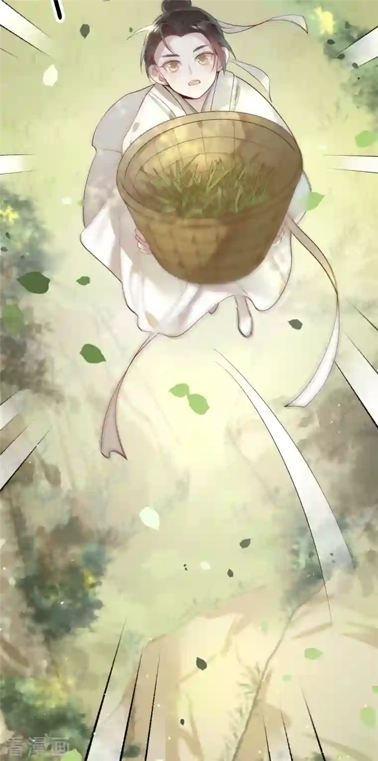 凤凰于飞第4话 要我入宫做卧底？