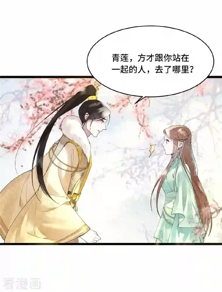 凤凰于飞第6话 卫青莲的算盘