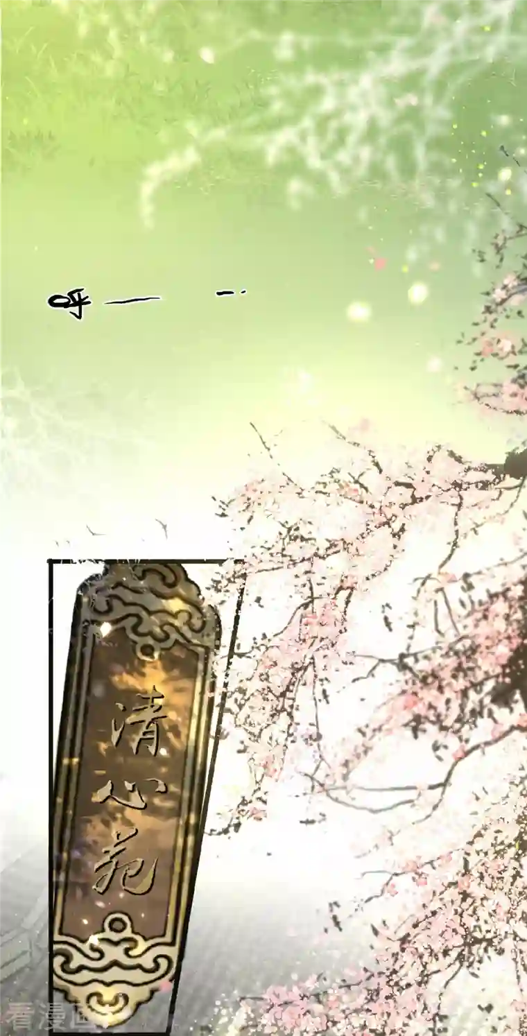 凤凰于飞第6话 卫青莲的算盘