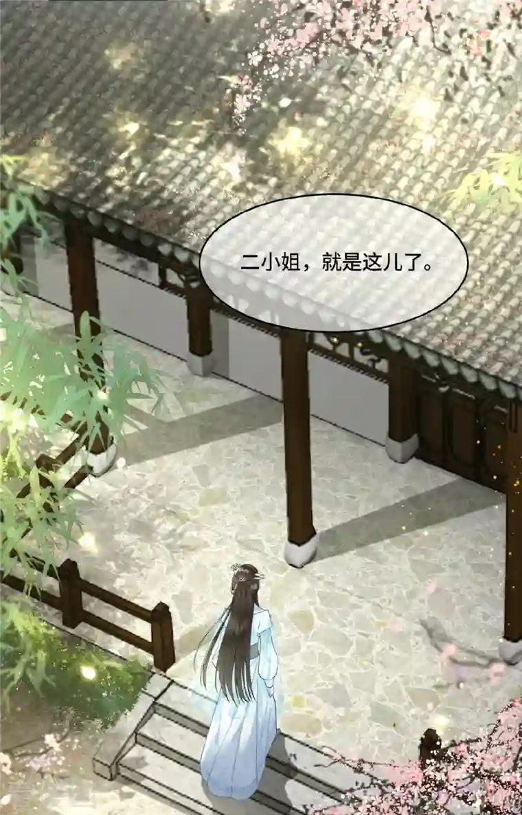 凤凰于飞第6话 卫青莲的算盘