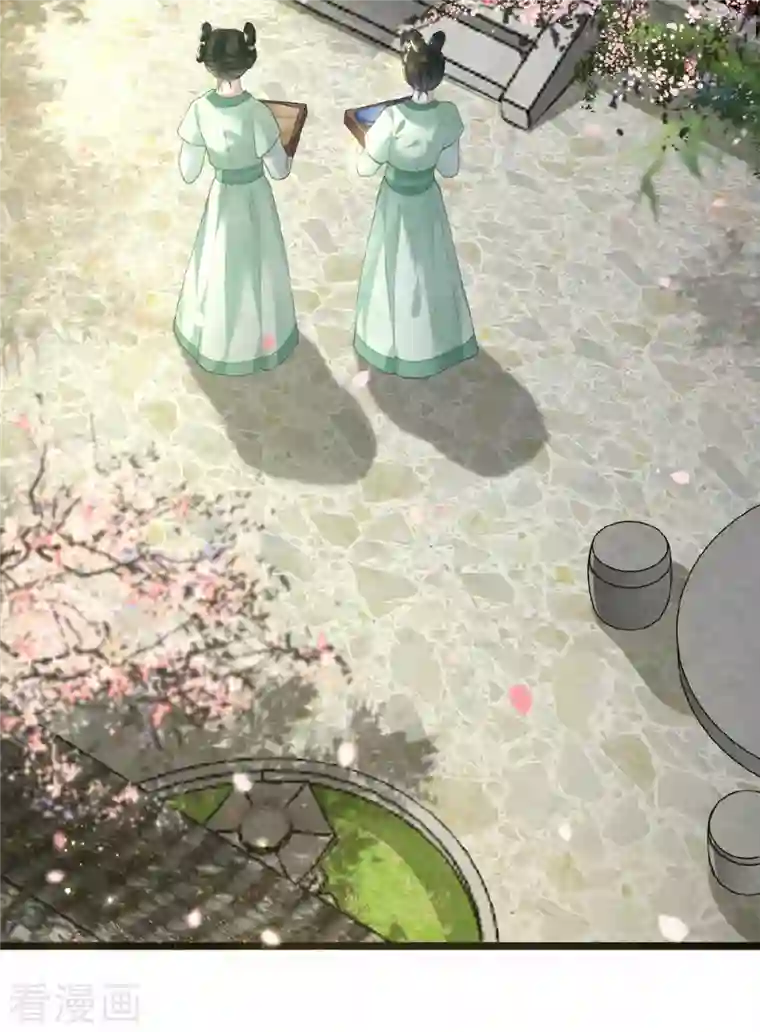 凤凰于飞第6话 卫青莲的算盘