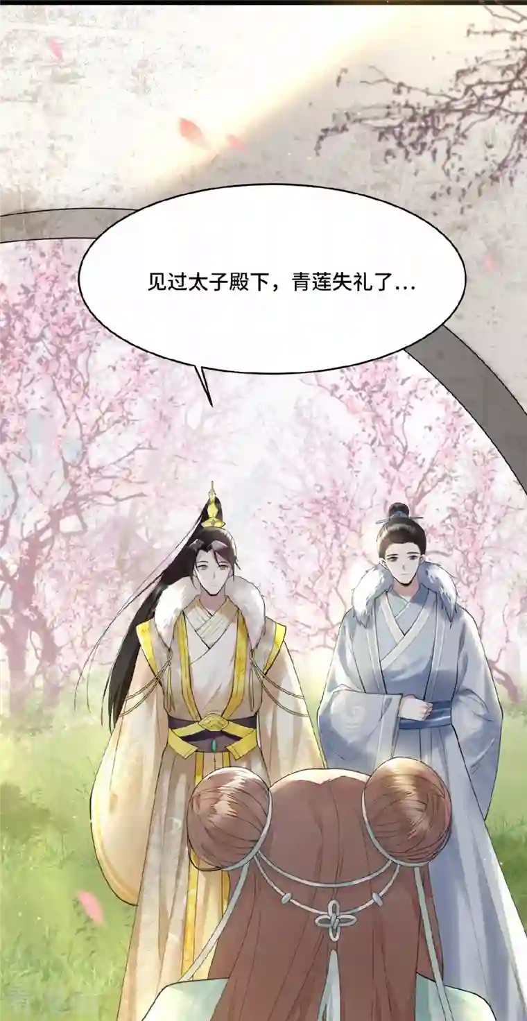 凤凰于飞第6话 卫青莲的算盘