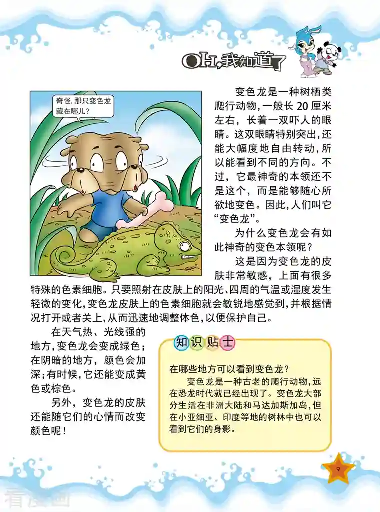 虹猫蓝兔十万个为什么第1话