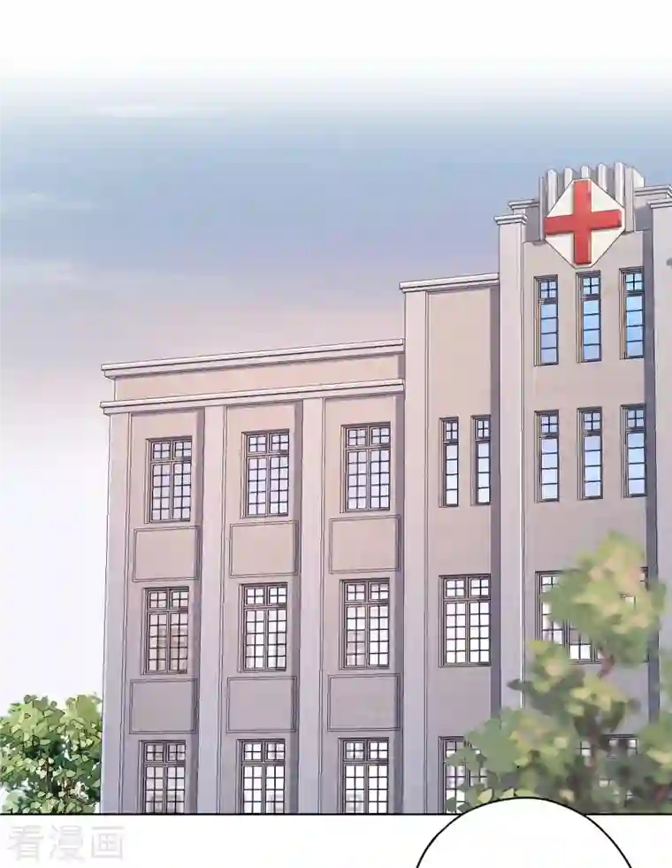 少帅,你老婆要翻天!第166话 平淡的幸福愿望