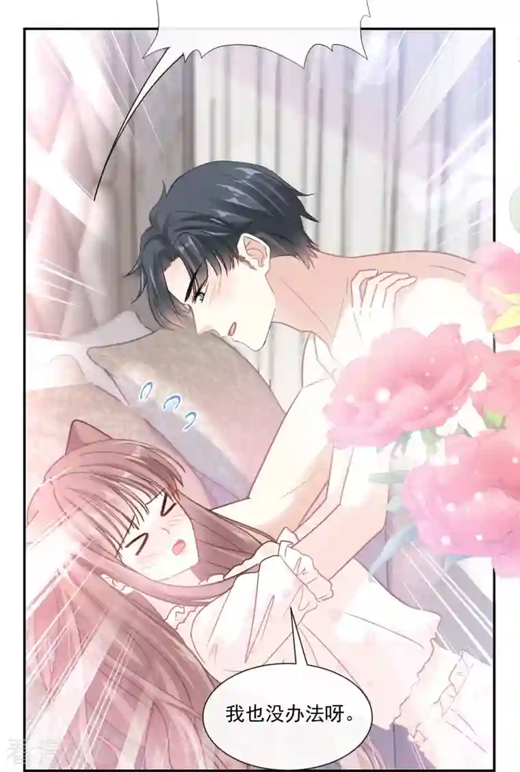 霸道总裁轻轻爱第167话 美好清晨