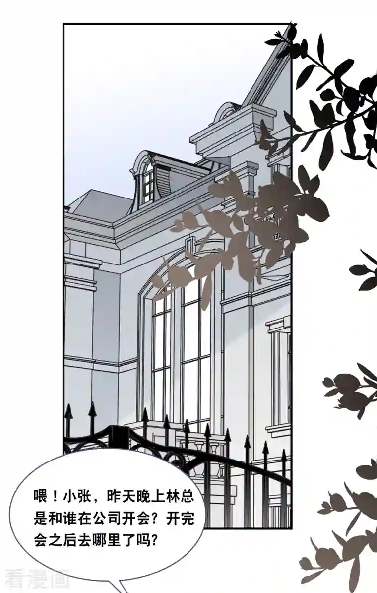 总裁爹地追上门第149话 谁才是林叶枫的太太