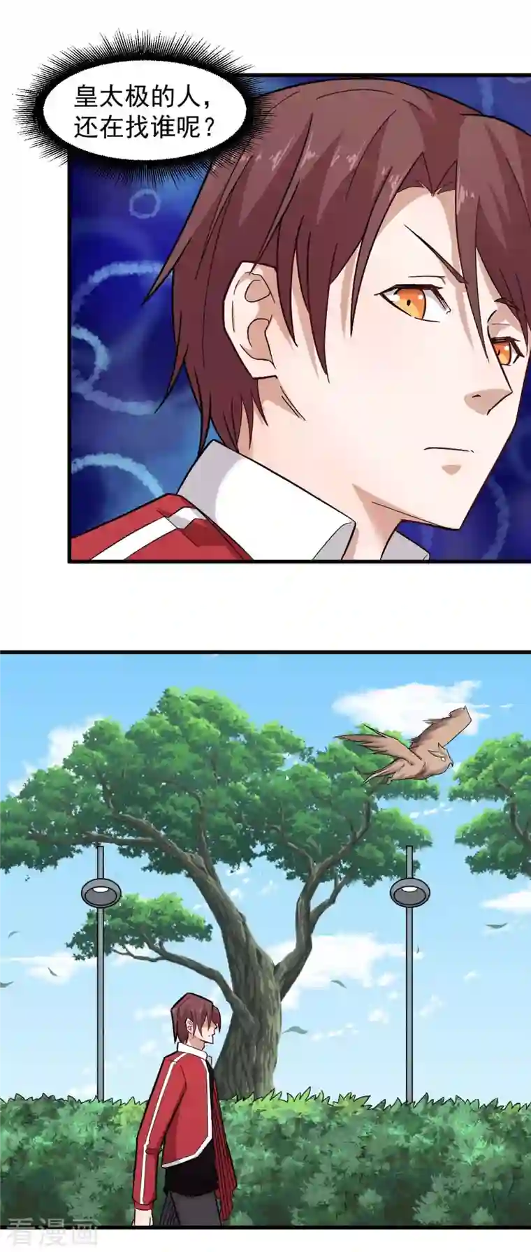 校园狂师第219话 猫头鹰不是猫系？