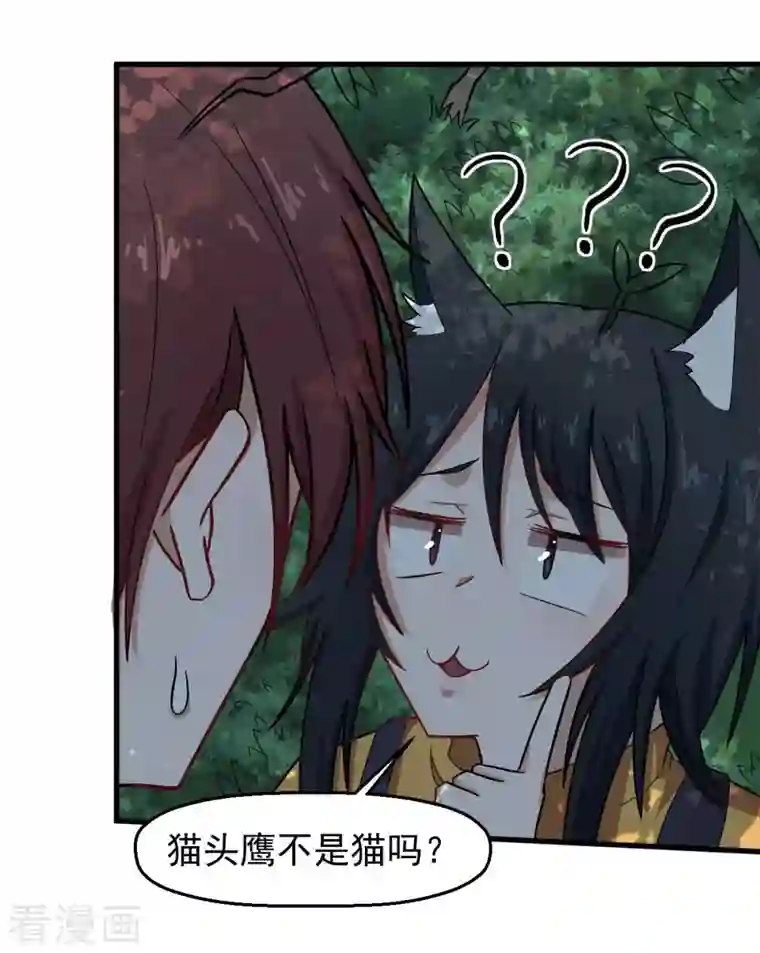 校园狂师第219话 猫头鹰不是猫系？