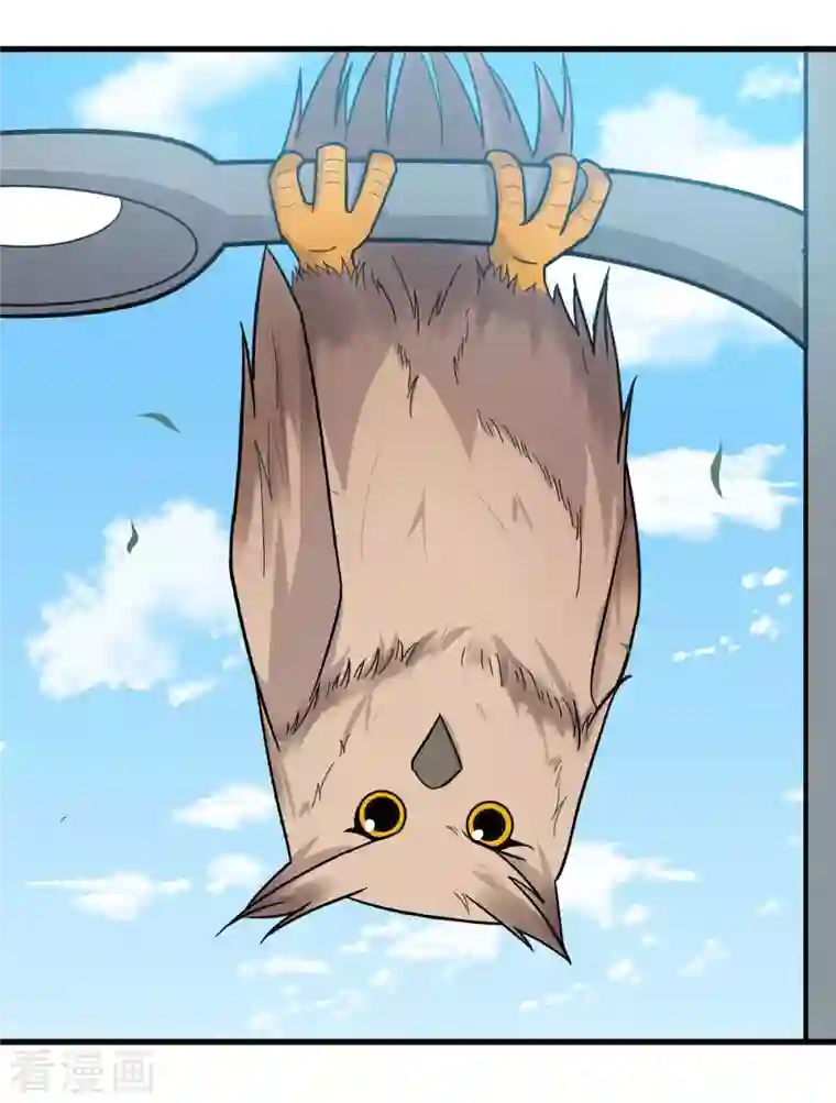 校园狂师第219话 猫头鹰不是猫系？