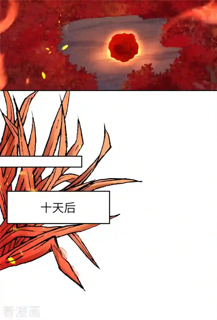 逆天邪神第374话 阴阳调和