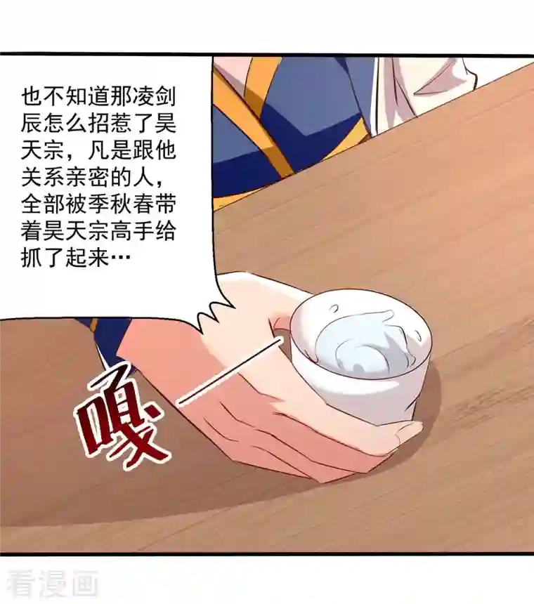 凌天神帝第199话 青火城易主