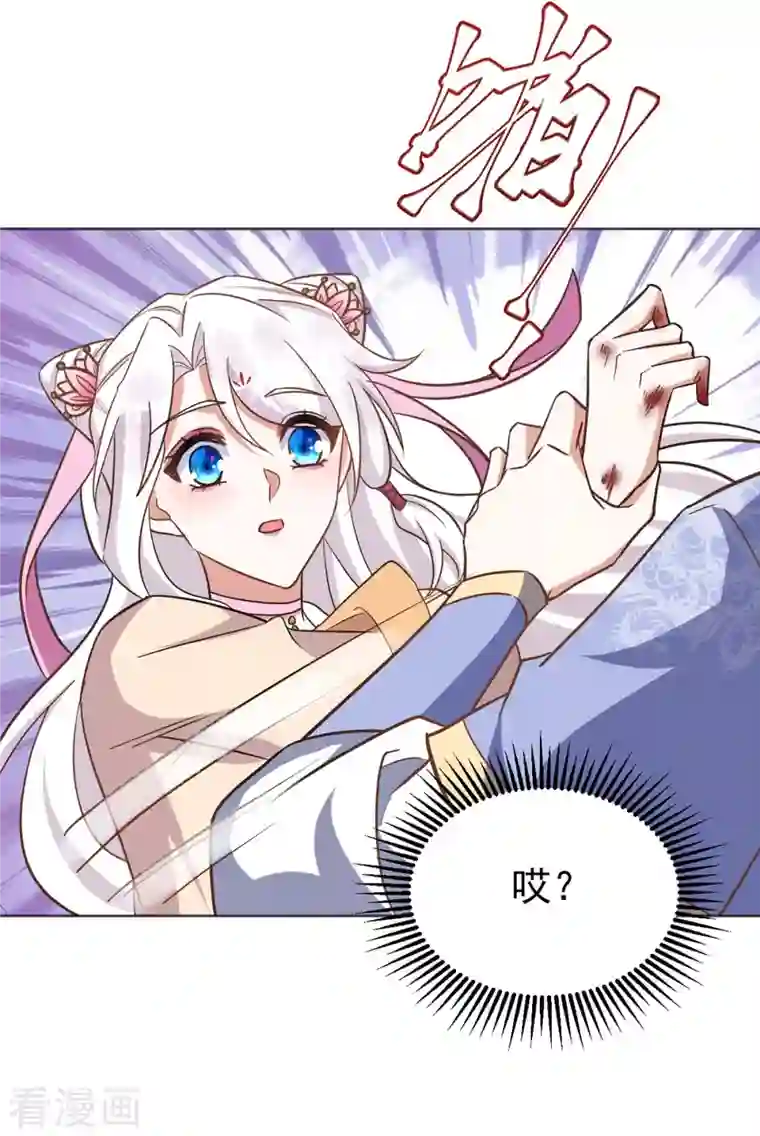 萌虎重生：将军大人要抱抱第45话 刺客