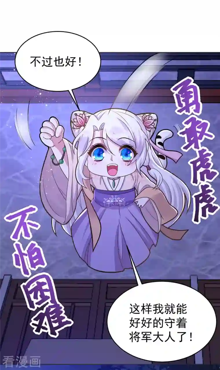 萌虎重生：将军大人要抱抱第45话 刺客