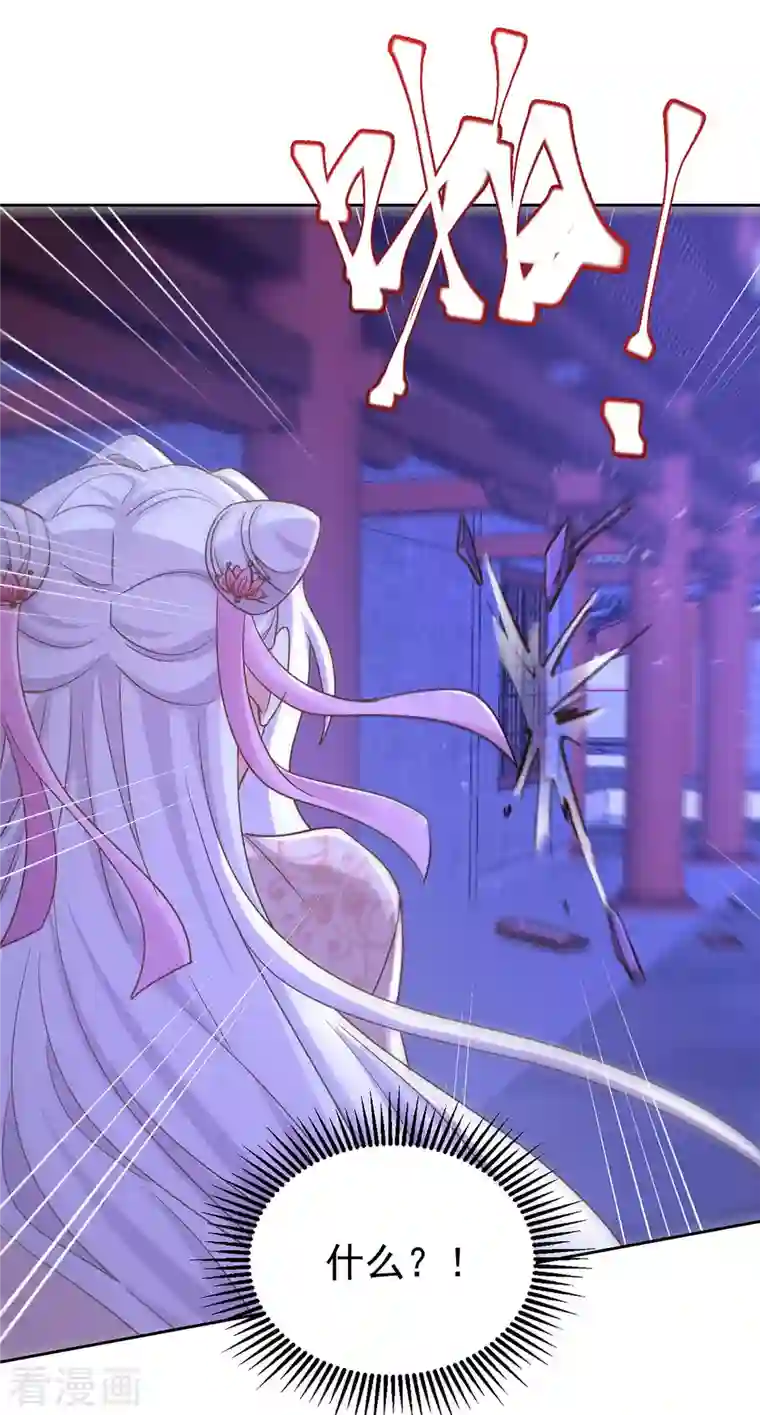 萌虎重生：将军大人要抱抱第45话 刺客