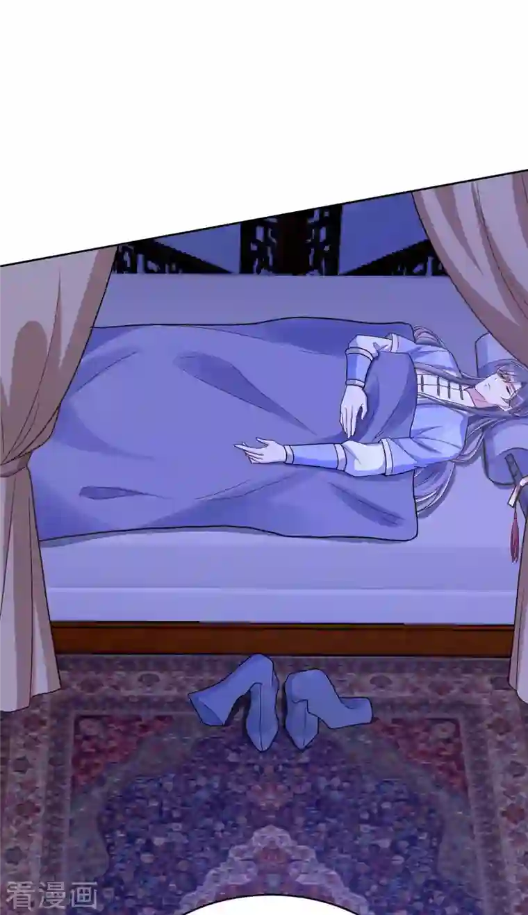 萌虎重生：将军大人要抱抱第45话 刺客