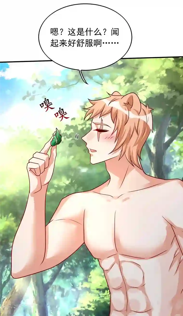 兽世狂妃：不当异界女海王第40话 识破计谋