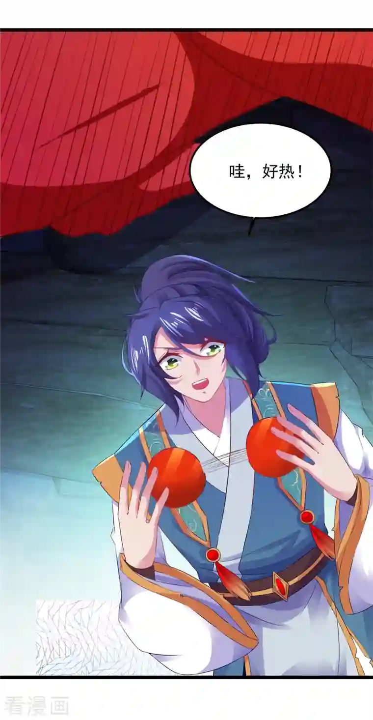 神魂武帝第122话 天虎枪力战豪火球