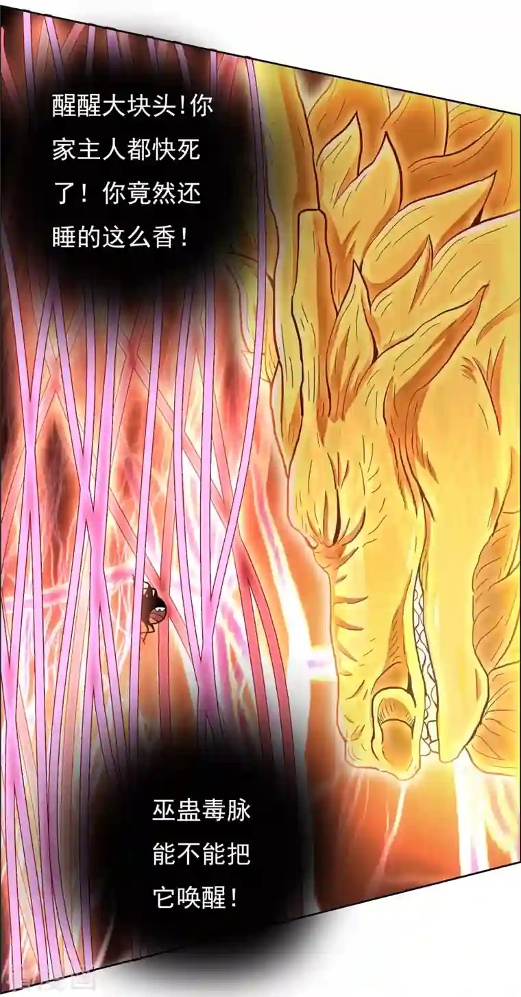 哥才不是大反派第57话 兄弟让你受惊了