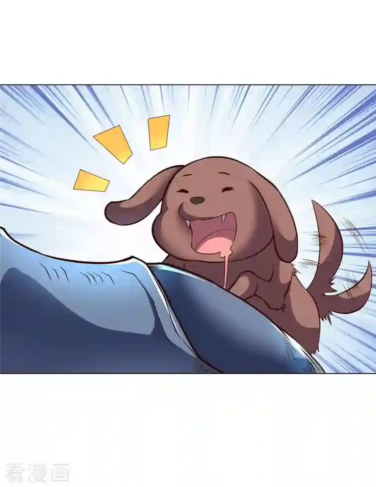 这个猎人太稳健番外2 最稳还是人头狗