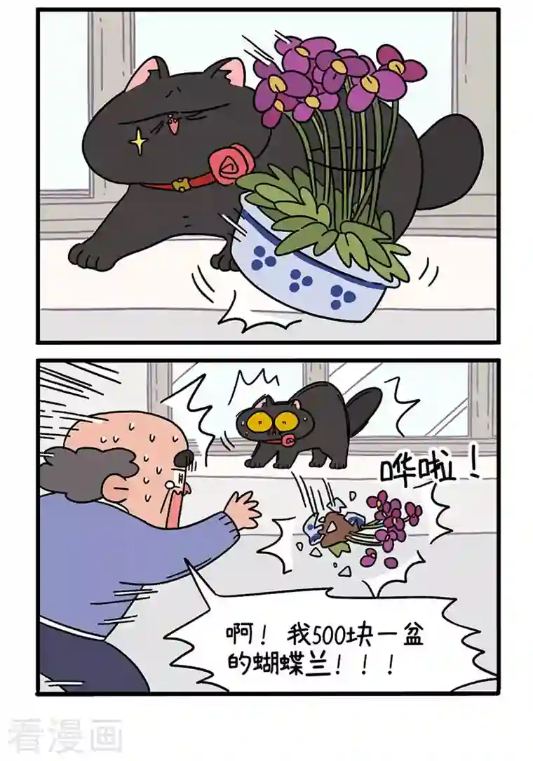 阿满和麦茶第16话1 住院的理由