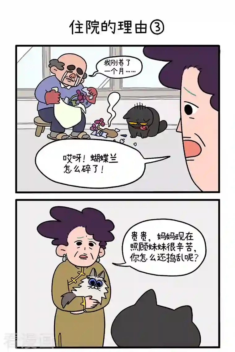 阿满和麦茶第16话1 住院的理由