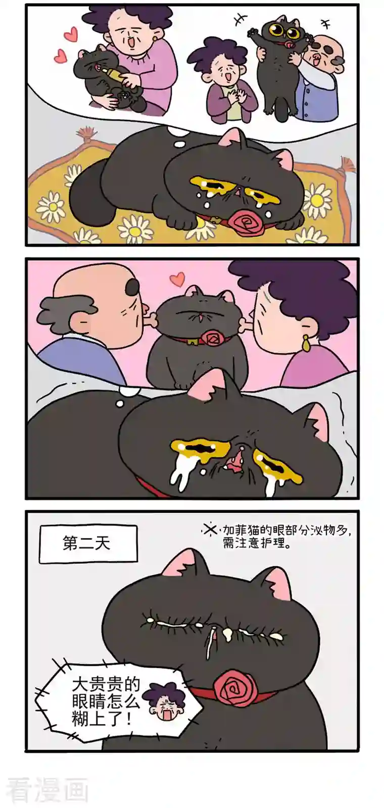 阿满和麦茶第16话2 住院的理由