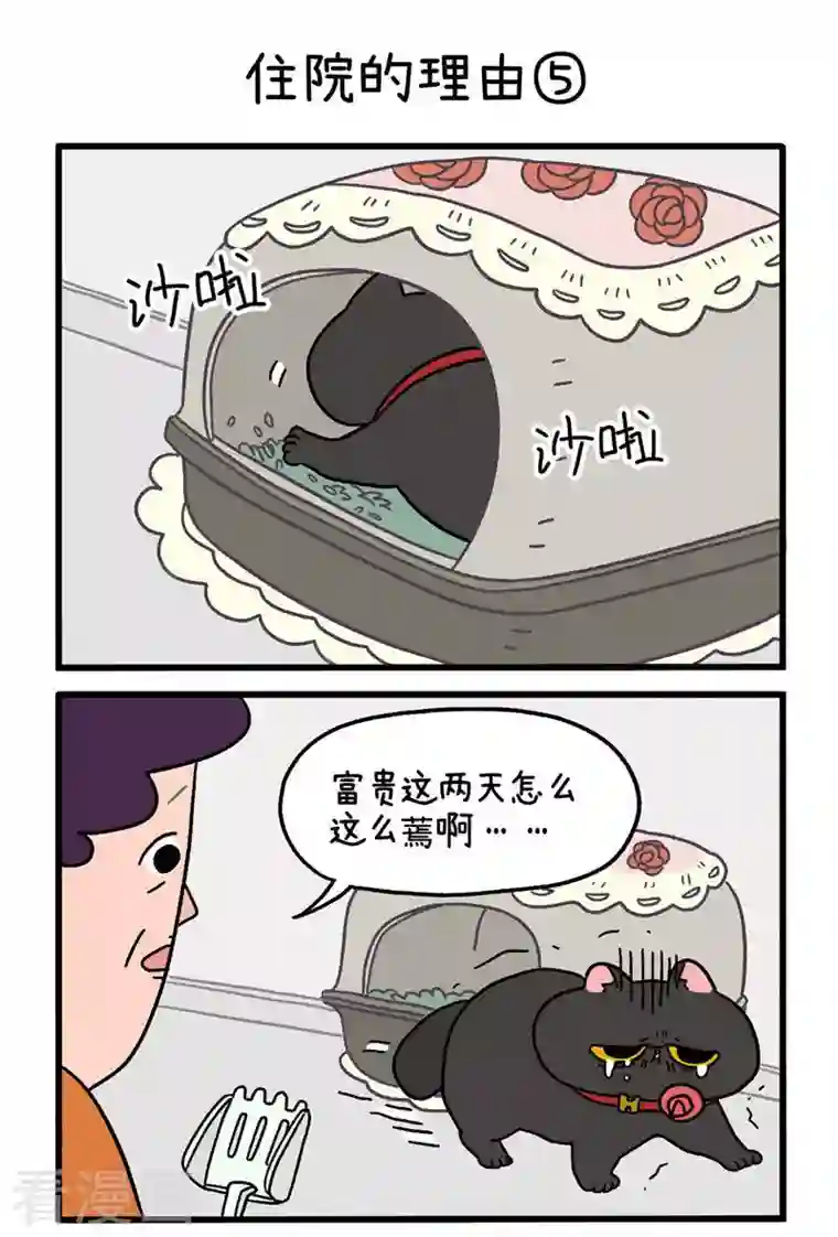 阿满和麦茶第16话2 住院的理由